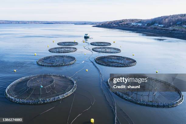 aquaculture nets - aquaculture stock pictures, royalty-free photos & images