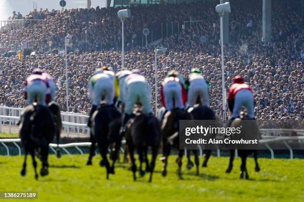 Spectators are seen in the grandstand as they watch The Albert Bartlett Novices' Hurdle race during day four of the Cheltenham Festival 2022 at...