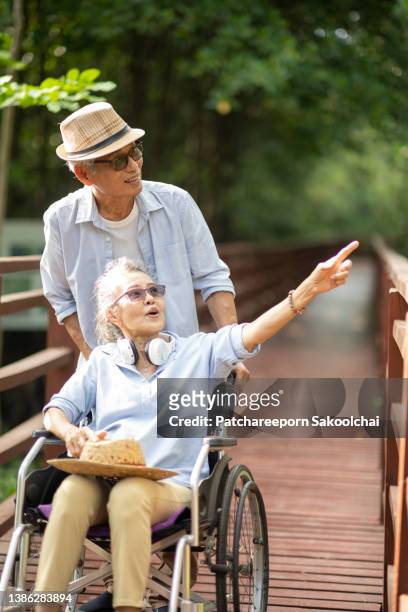 retirement woman sitting on wheelchair and enjoying in the park with husband - tree man syndrome stock pictures, royalty-free photos & images