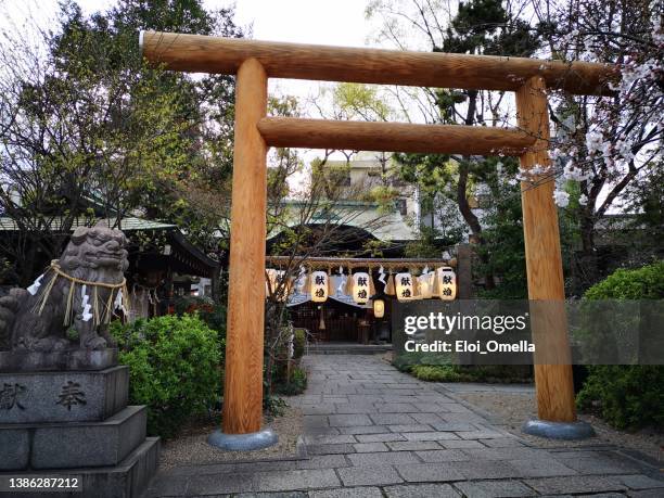 japanese lanterns and torii gate at horikoshi jinja temple, osaka - osaka shrine stock pictures, royalty-free photos & images