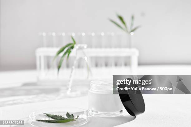cannabis face cream and hemp leaves in laboratory petri dishes and - cbd leaf stock pictures, royalty-free photos & images