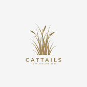 cattail grass logo vector illustration design, cattail logo template, cattail silhouette vector design
