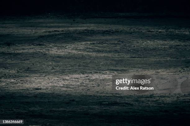 a dramatic barren volcanic landscape in the bottom of the kilauea crater - rock bottom stock pictures, royalty-free photos & images