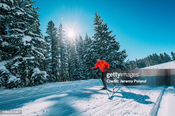 wide angle shot of a cross-country skate skier skiing in a v1 formation along a groomed trail on a clear, sunny day in the grand mesa national forest in colorado - cross country skiing bildbanksfoton och bilder