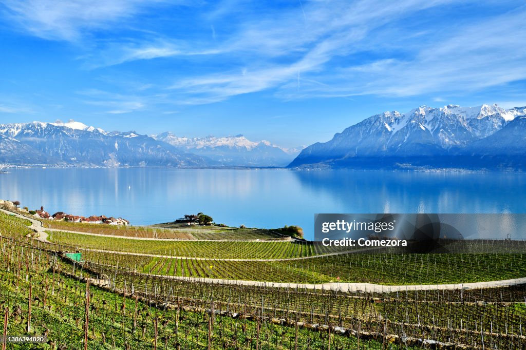 Lavaux Vineyards and Lake Geneva at Sunny Day, Montreux, Switzerland