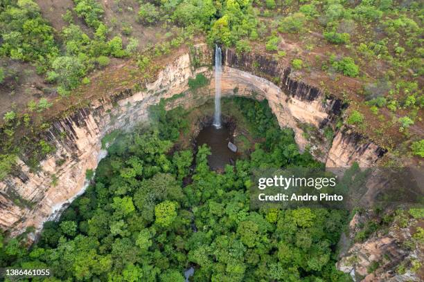 chapada dos guimarães national park - reserva natural - fotografias e filmes do acervo