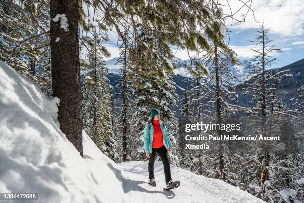 woman snowshoes through snowy forest, in the sunshine - canmore alberta stock pictures, royalty-free photos & images