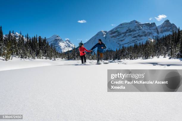 Alberta Fresh Spring Alberta Spring Photos and Premium High Res Pictures - Getty Images