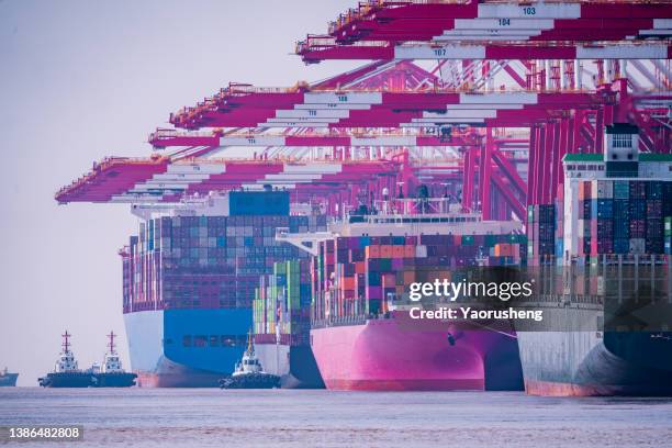 container ships at dock,yangshan deep water port ,shanghai - shanghai port stock pictures, royalty-free photos & images