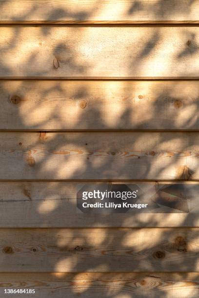 abstract wooden background with shadows. - wall summer light imagens e fotografias de stock