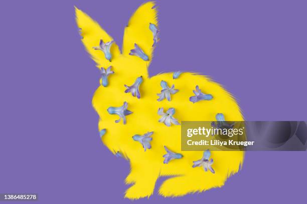 rabbit shape with hyacinth petals on purple background. - osterhase schokolade stock-fotos und bilder