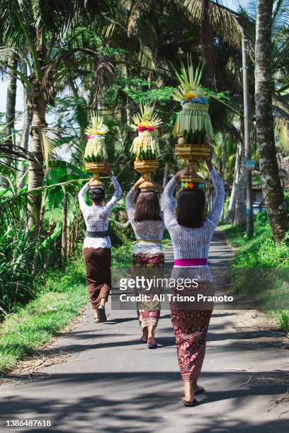 balinese women carrying gebogan for temple offering , wearing traditional clothing, religious ceremony - religiöse opfergabe stock-fotos und bilder
