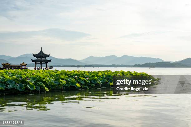 scenery of jixian pavilion scenic spot in west lake, hangzhou, china - west lake hangzhou fotografías e imágenes de stock