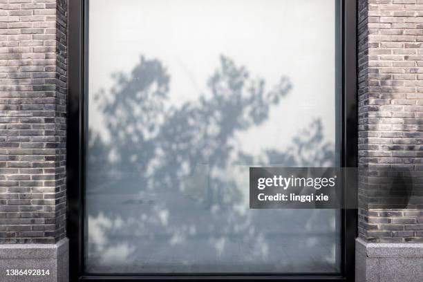 the shadow of the big tree on the wall in the sunlight - empty window frame stock pictures, royalty-free photos & images