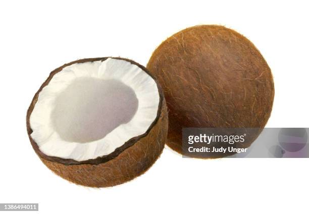 coconut whole and half - coconut stock illustrations
