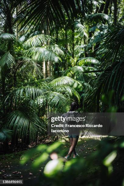 woman hiking in the tropical jungle.  azores, portugal - iacomino portugal stock-fotos und bilder