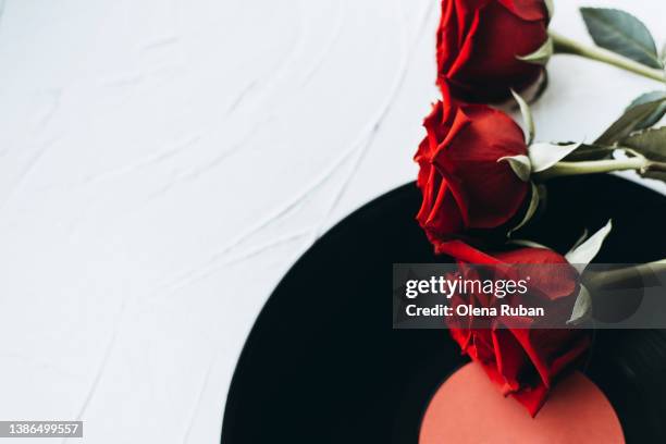 Dj Beautiful Roses 198 Dj Blossom Stock Photos, High-Res Pictures, and Images - Getty Images
