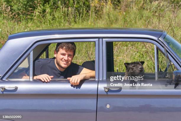 dog sitting on the co-driver passenger seat.traveling with pets concept. - shar pei foto e immagini stock