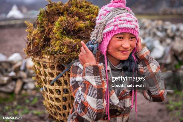 little nepali girl carrying basket full of moss - nepal child stock pictures, royalty-free photos & images