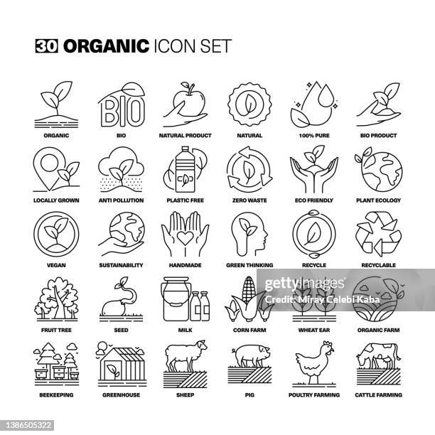 stockillustraties, clipart, cartoons en iconen met organic line icons set - veganisme