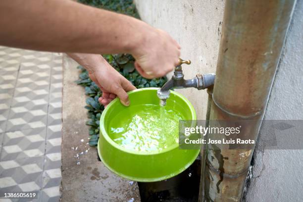 pet's dog plastic bowl whit water - dogs drinking water stock pictures, royalty-free photos & images