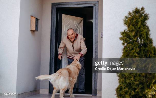 old people at home - old person with walking stick outside standing stock pictures, royalty-free photos & images