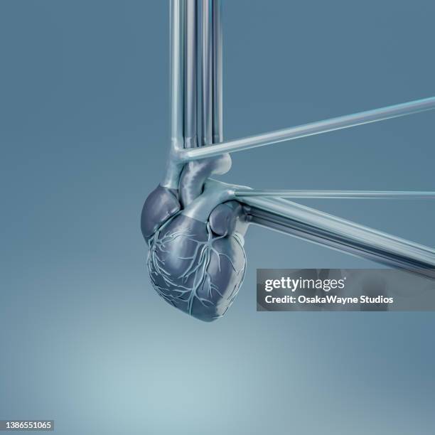 3d model of human heart in grey steel colour - human internal organs 3d model stock pictures, royalty-free photos & images