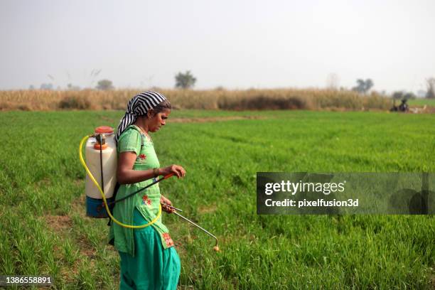 female farmer spraying pesticide in green field during springtime - farmer fertilizer stock pictures, royalty-free photos & images