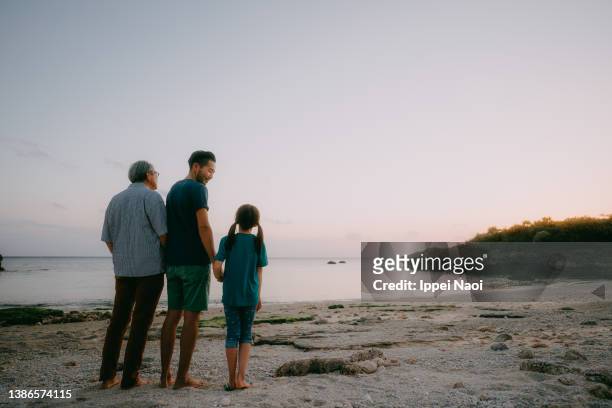 grandfather, adult son and granddaughter on beach at sunset - multi generation family from behind stock pictures, royalty-free photos & images