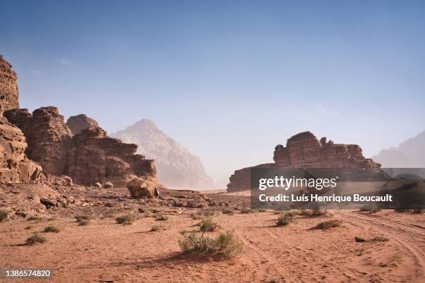 wadi rum 1 - riverbed fotografías e imágenes de stock