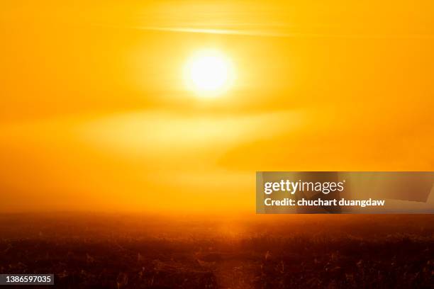 global warming from the sun and burning, heatwave hot sun, climate change, heatstroke - calor imagens e fotografias de stock