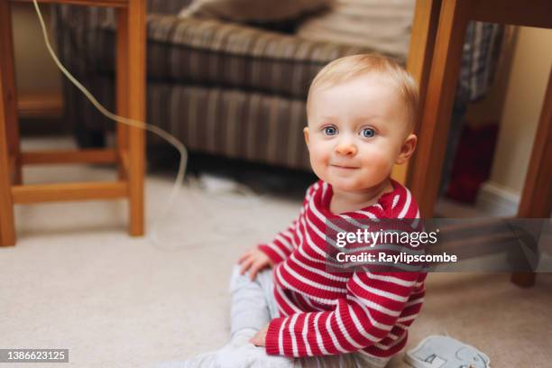 portrait of a cute contented 15 month old baby girl  exploring her living room environment. - one baby girl only bildbanksfoton och bilder