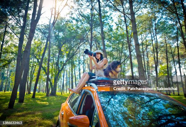 camping forest - freedom to the camera stock pictures, royalty-free photos & images