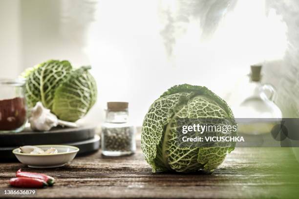 whole raw savoy cabbage on rustic wooden kitchen table with bowl, oil and spices at blurred window background with natural sunlight. - savoykål bildbanksfoton och bilder