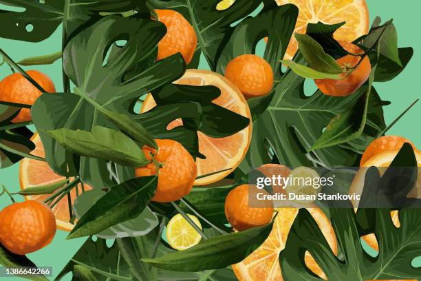 citrus fruit with monster plant pattern - orange fruit 幅插畫檔、美工圖案、卡通及圖標