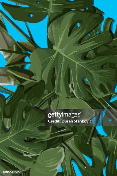 seamless pattern with monstera leaves - philodendron stock illustrations