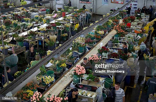 Workers arrange flowers to be packed for export at an Elite Flower Ltda. Plant in Bogota, Colombia, on Wednesday, Feb. 8, 2012. Every February, as...