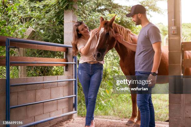 Stable Tree Photos and Premium High Res Pictures - Getty Images