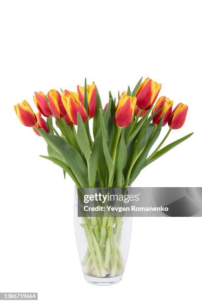 bouquet of tulips in a vase, isolated on white background - bud vase stock pictures, royalty-free photos & images