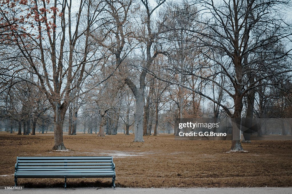 Lone bench