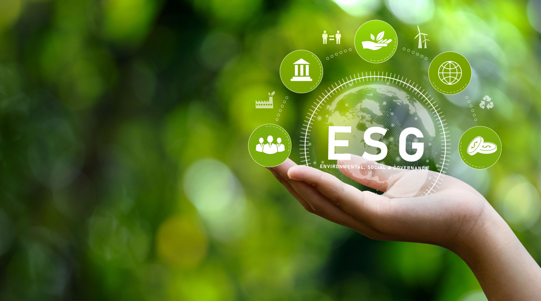 environmental social governance
