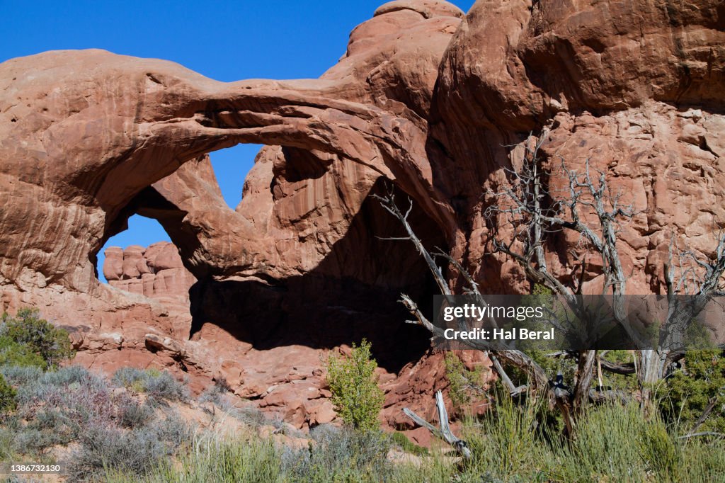 Double Shell Arch Double Arch High-Res Stock Photo - Getty Images