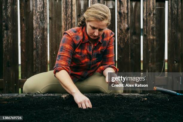 a young woman places seeds into the dirt while gardening in a backyard - alex gardner stock pictures, royalty-free photos & images