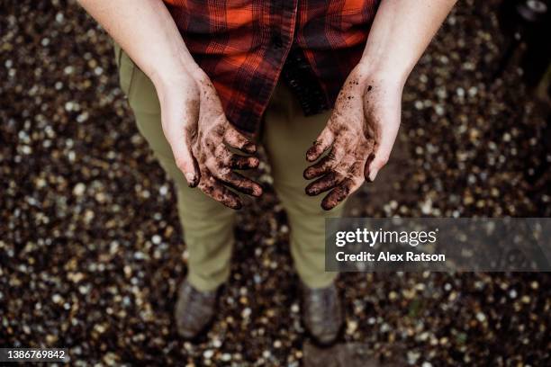 a woman holds out her dirty hands after completing some yardwork - alex gardner stock pictures, royalty-free photos & images