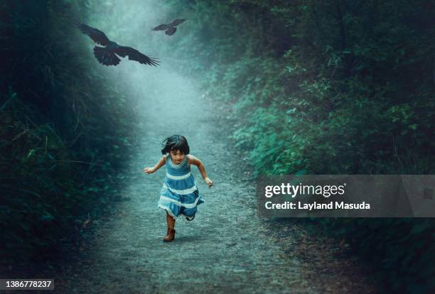 running through the misty forest - raven bird stockfoto's en -beelden