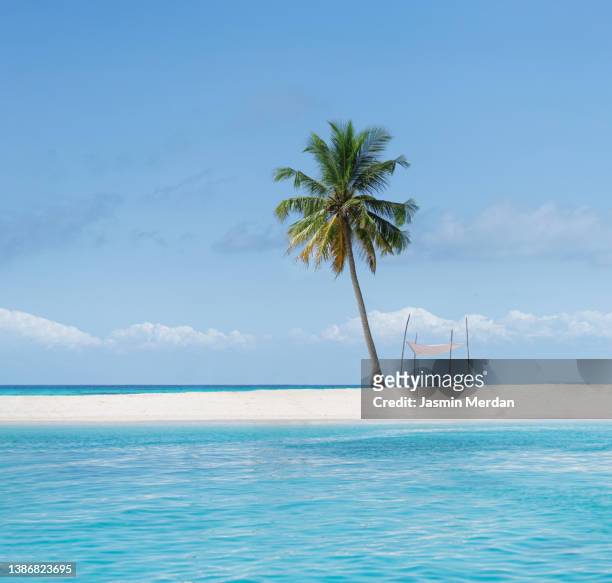 tropical idyllic beach waiting for you - bora bora atoll stock-fotos und bilder