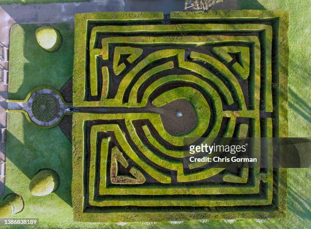 An aerial view of the maze at Hever Castle on March 17,2022 in Hever, England.