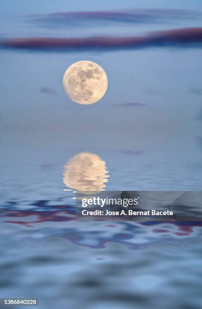 full moon at sunset reflected on a water surface. - luna piena foto e immagini stock