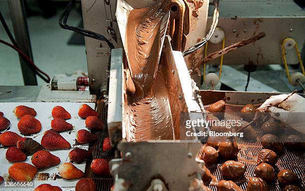 Shari's Berries chocolate covered strawberries move along a conveyor belt at a distribution facility in Charlotte, North Carolina, U.S., on Friday,...