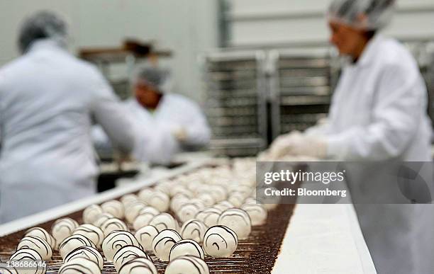 Shari's Berries chocolate covered strawberries move along a conveyor belt at a distribution facility in Charlotte, North Carolina, U.S., on Friday,...